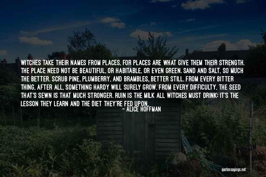 Give Them Strength Quotes By Alice Hoffman Give Them Strength Quotes By Alice Hoffman