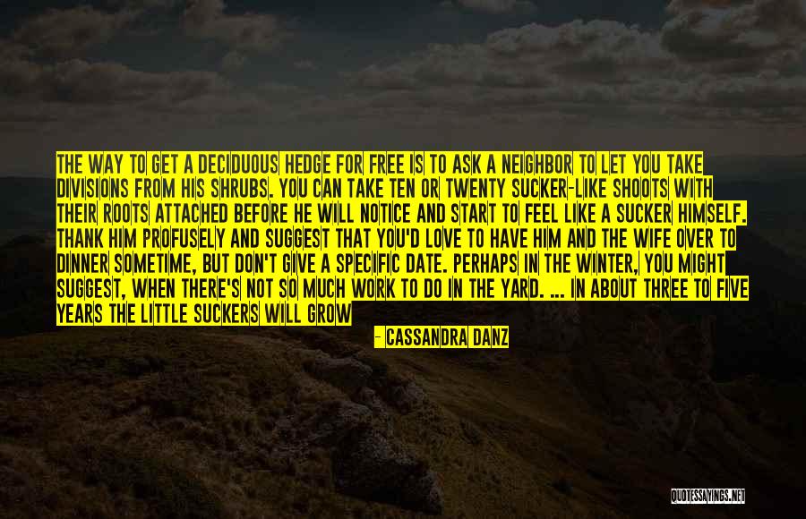 Give Time To Your Love Quotes By Cassandra Danz