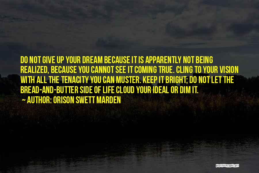 Give Up Life Quotes By Orison Swett Marden