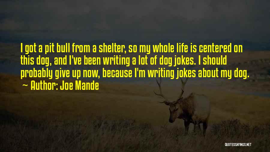 Give Up On Life Quotes By Joe Mande