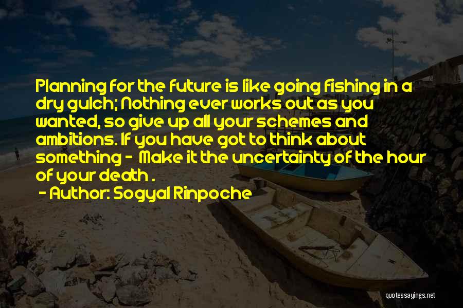 Give You Something To Think About Quotes By Sogyal Rinpoche