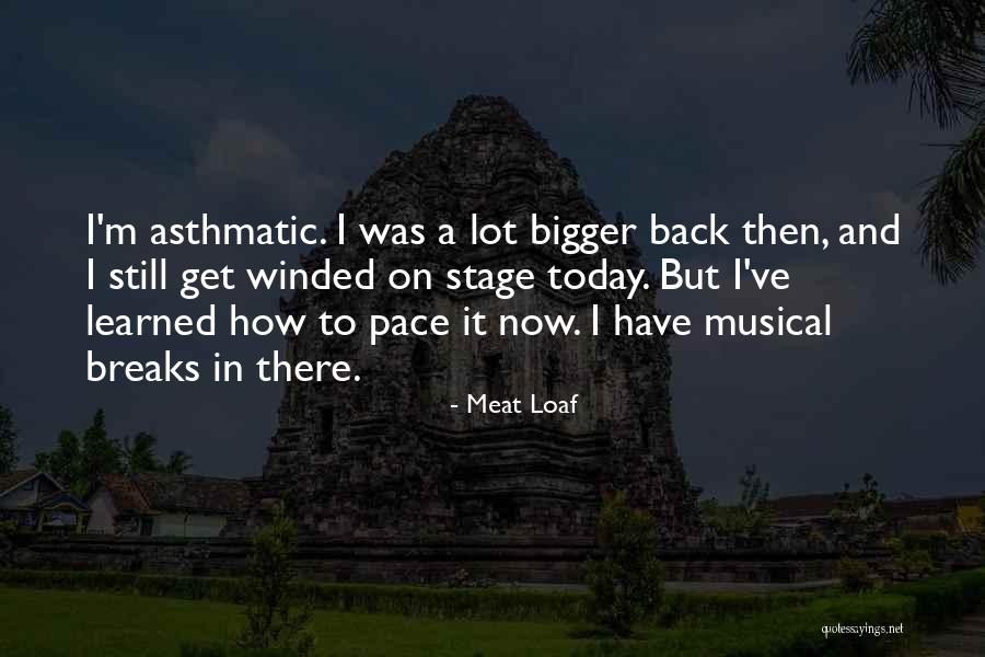 Giverny Mascara Quotes By Meat Loaf Giverny Mascara Quotes By Meat Loaf