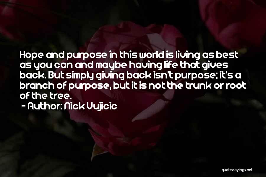 Gives You Hope Quotes By Nick Vujicic