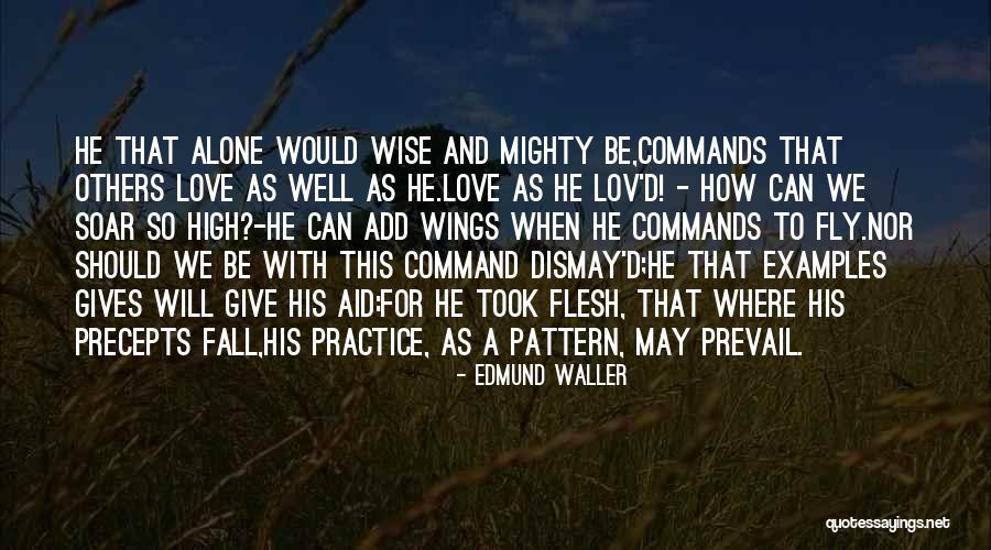 Gives You Wings Quotes By Edmund Waller Gives You Wings Quotes By Edmund Waller