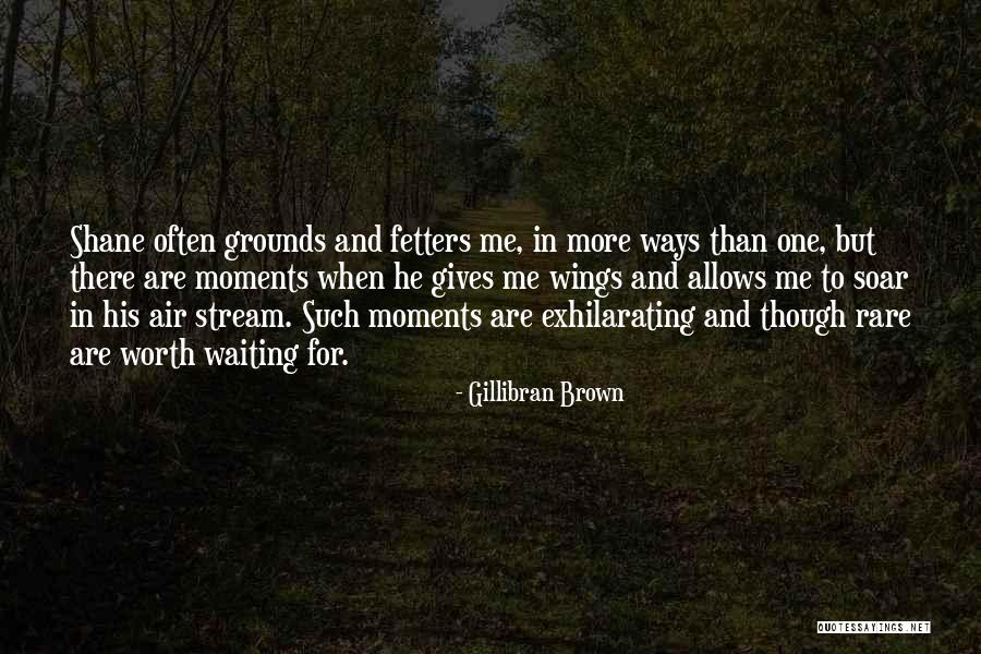 Gives You Wings Quotes By Gillibran Brown