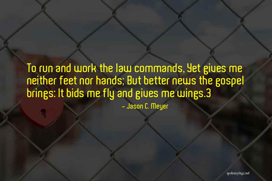 Gives You Wings Quotes By Jason C. Meyer