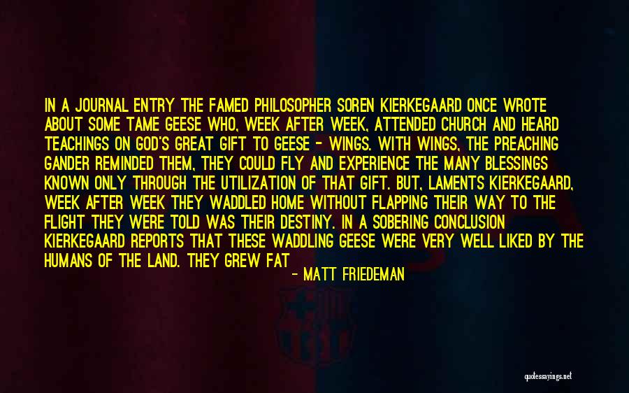 Gives You Wings Quotes By Matt Friedeman Gives You Wings Quotes By Matt Friedeman