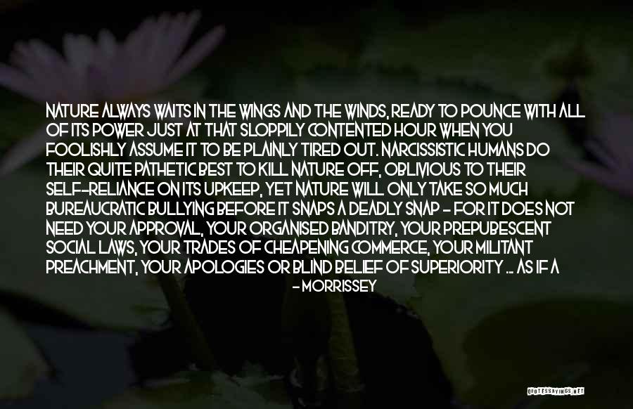 Gives You Wings Quotes By Morrissey