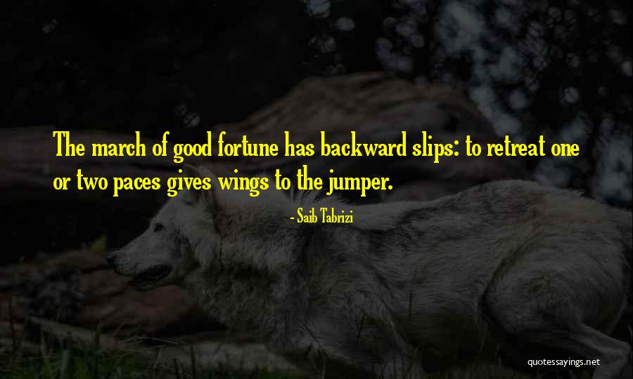 Gives You Wings Quotes By Saib Tabrizi Gives You Wings Quotes By Saib Tabrizi