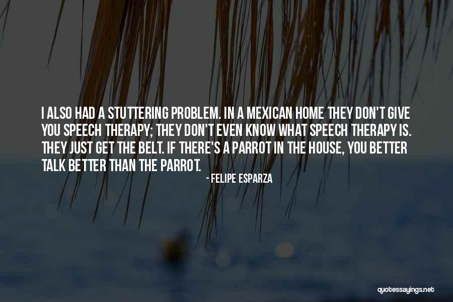 Giving A Speech Quotes By Felipe Esparza Giving A Speech Quotes By Felipe Esparza