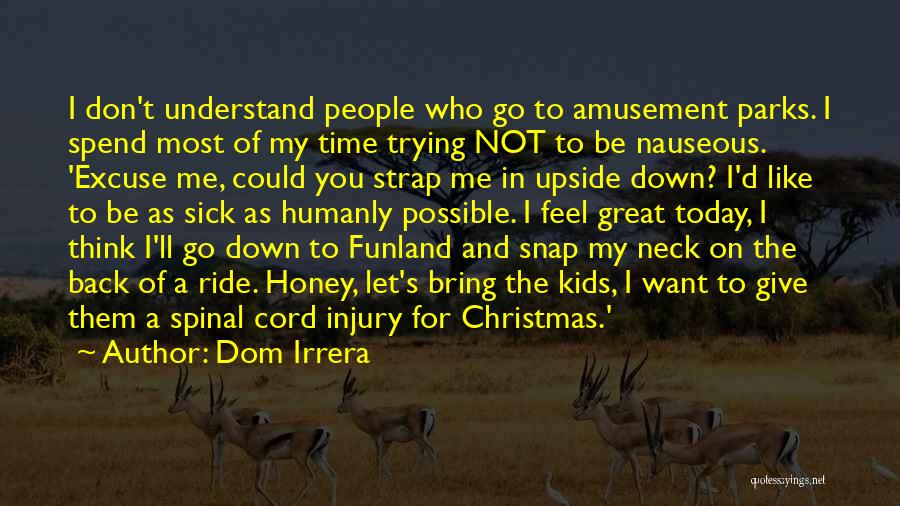 Giving And Christmas Quotes By Dom Irrera