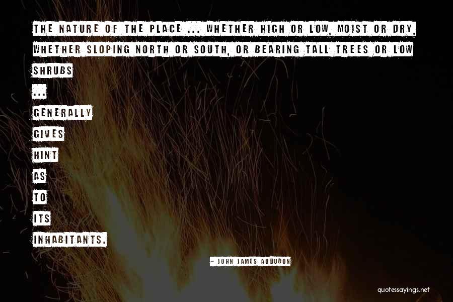 Giving Hints Quotes By John James Audubon Giving Hints Quotes By John James Audubon