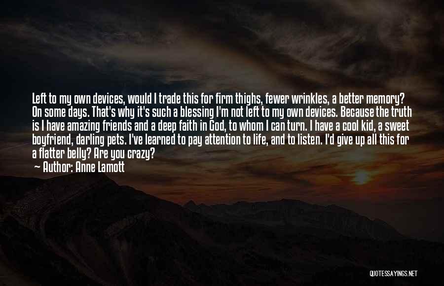 Giving It All Up Quotes By Anne Lamott
