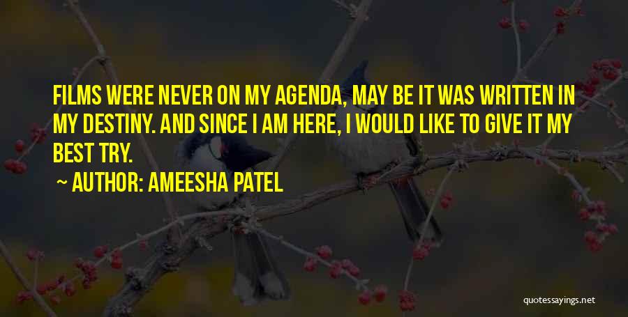 Giving It One More Try Quotes By Ameesha Patel