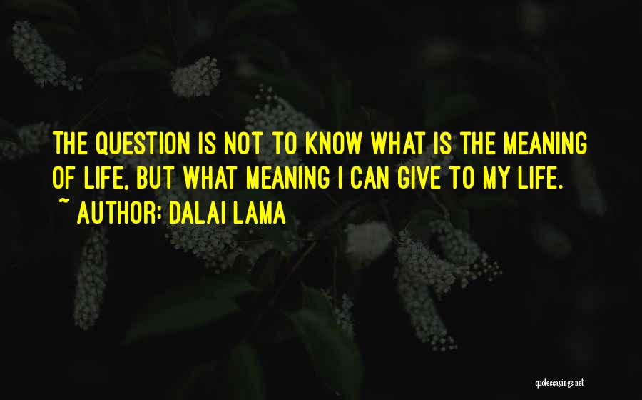 Giving Life Meaning Quotes By Dalai Lama