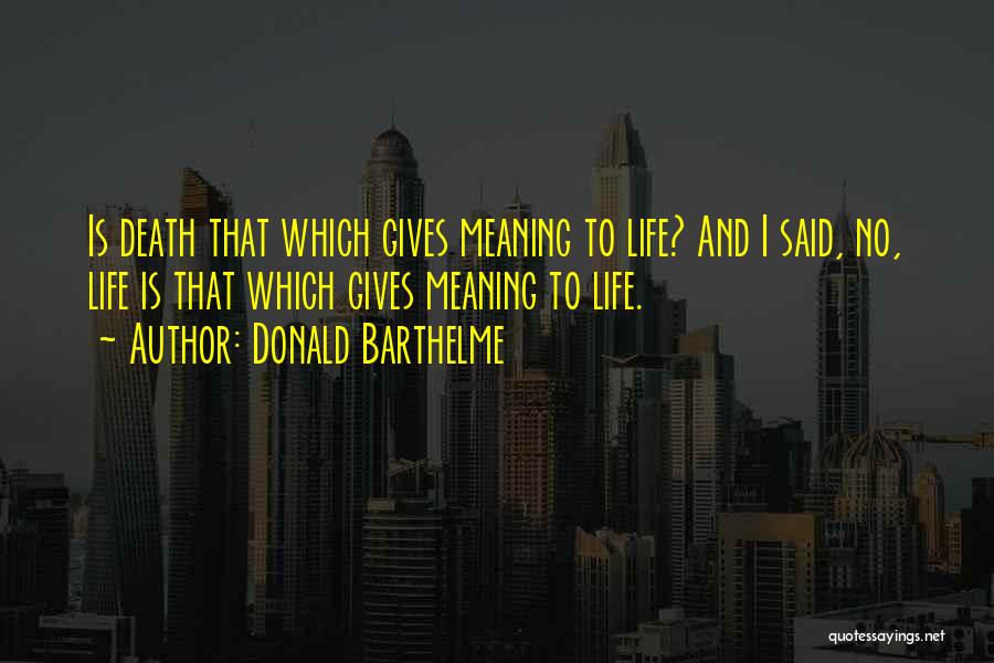 Giving Life Meaning Quotes By Donald Barthelme
