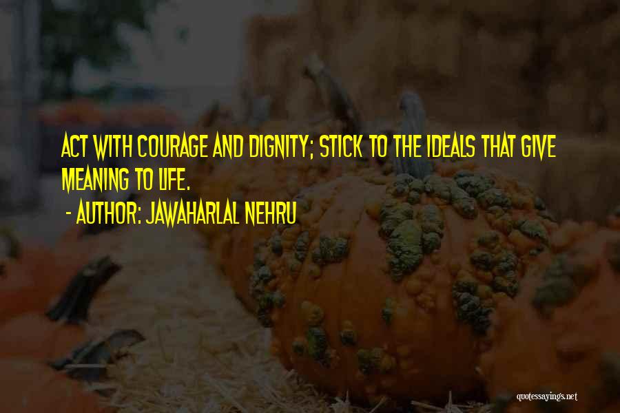 Giving Life Meaning Quotes By Jawaharlal Nehru