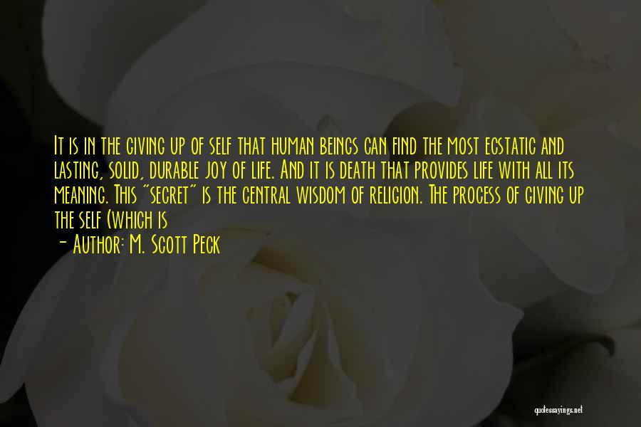 Giving Life Meaning Quotes By M. Scott Peck