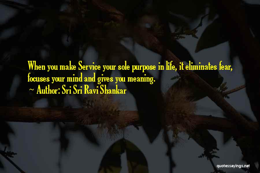 Giving Life Meaning Quotes By Sri Sri Ravi Shankar