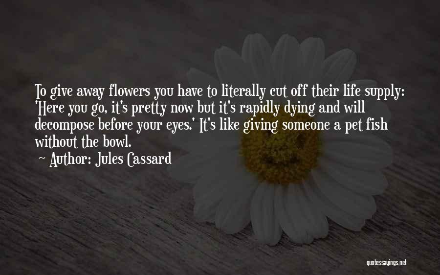 Giving Life To Someone Quotes By Jules Cassard