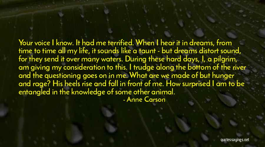 Giving Of Your Time Quotes By Anne Carson Giving Of Your Time Quotes By Anne Carson