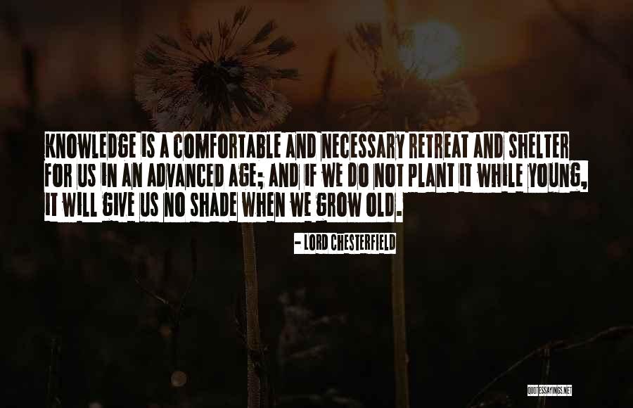 Giving Shade Quotes By Lord Chesterfield Giving Shade Quotes By Lord Chesterfield