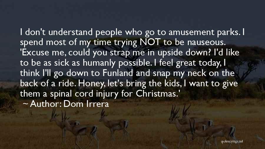 Giving This Christmas Quotes By Dom Irrera