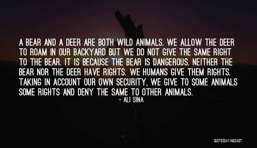 Giving To Animals Quotes By Ali Sina