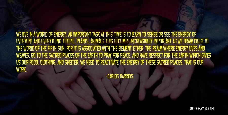 Giving To Animals Quotes By Carlos Barrios Giving To Animals Quotes By Carlos Barrios