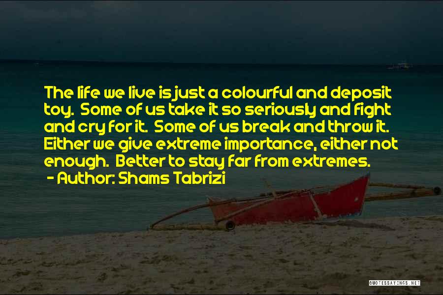 Giving Too Much Importance Quotes By Shams Tabrizi