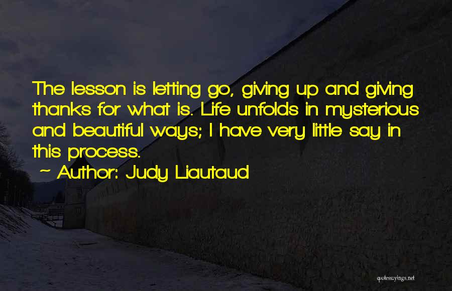 Giving Up And Letting Go Quotes By Judy Liautaud