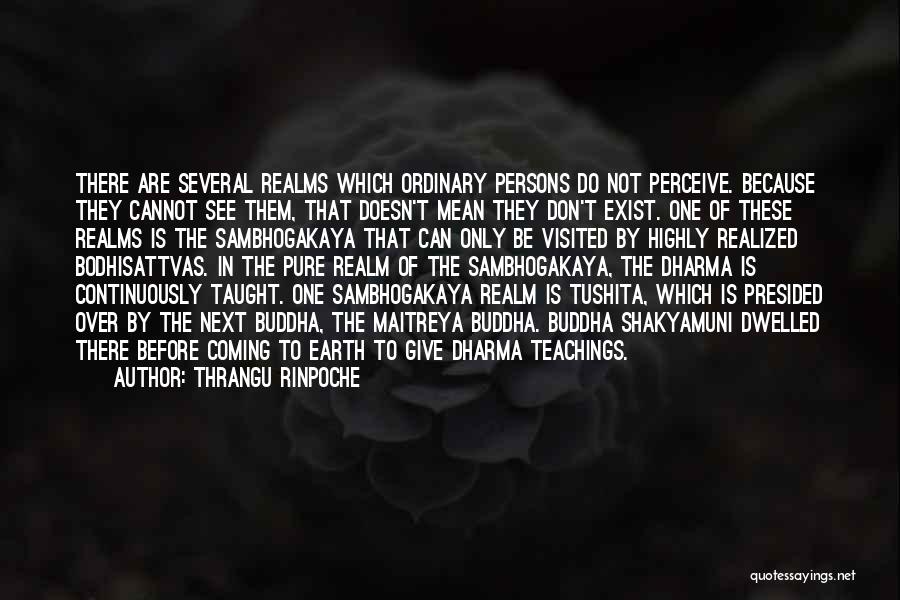 Giving Up Doesn't Mean Quotes By Thrangu Rinpoche