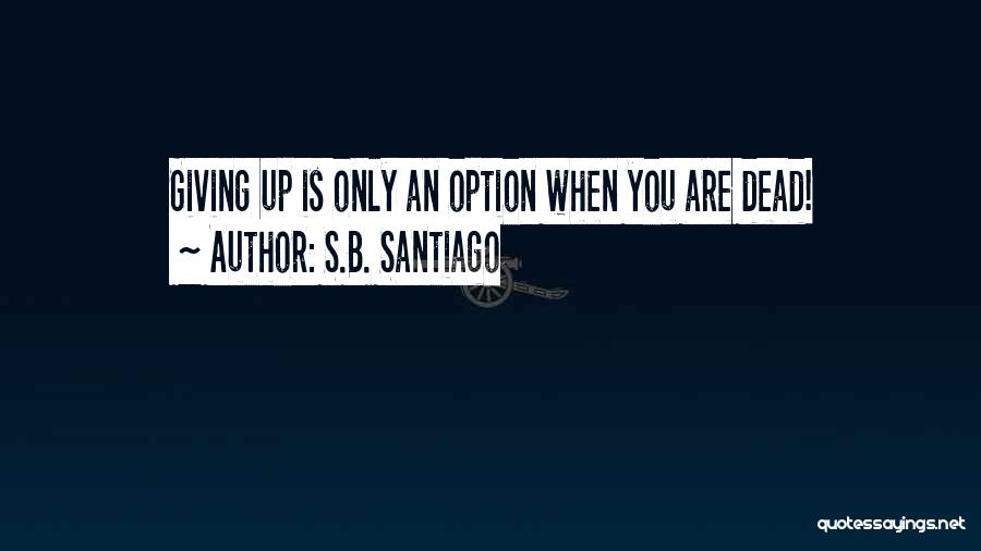 Giving Up Is Not An Option Quotes By S.B. Santiago