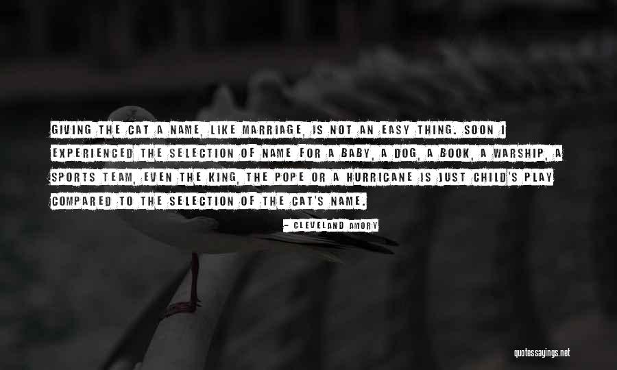 Giving Your All In Sports Quotes By Cleveland Amory Giving Your All In Sports Quotes By Cleveland Amory