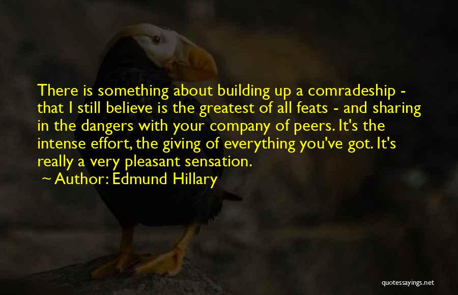 Giving Your Everything Quotes By Edmund Hillary