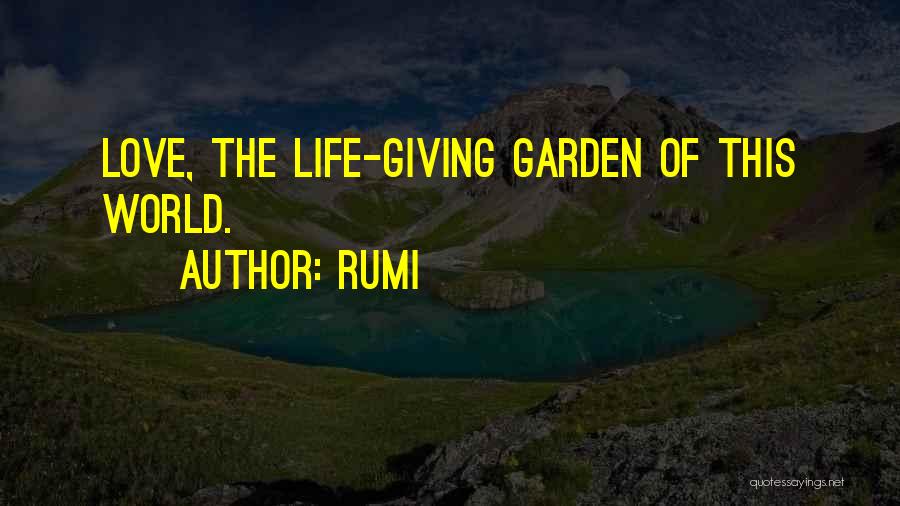 Giving Your Life For Someone Quotes By Rumi