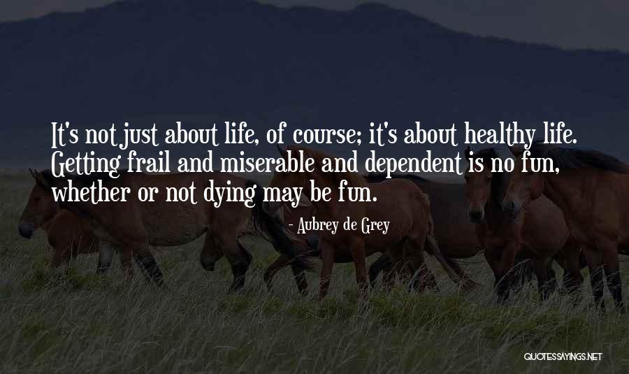 Gizzelle Brady Quotes By Aubrey De Grey Gizzelle Brady Quotes By Aubrey De Grey