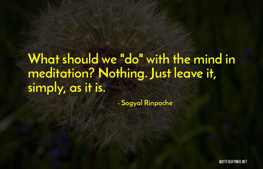 Glaciations Define Quotes By Sogyal Rinpoche Glaciations Define Quotes By Sogyal Rinpoche