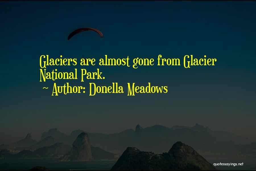 Glaciers Quotes By Donella Meadows