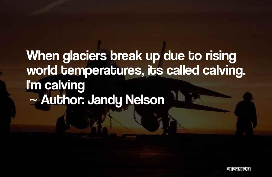 Glaciers Quotes By Jandy Nelson