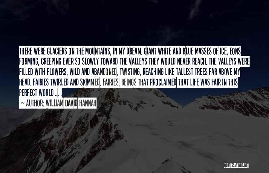 Glaciers Quotes By William David Hannah