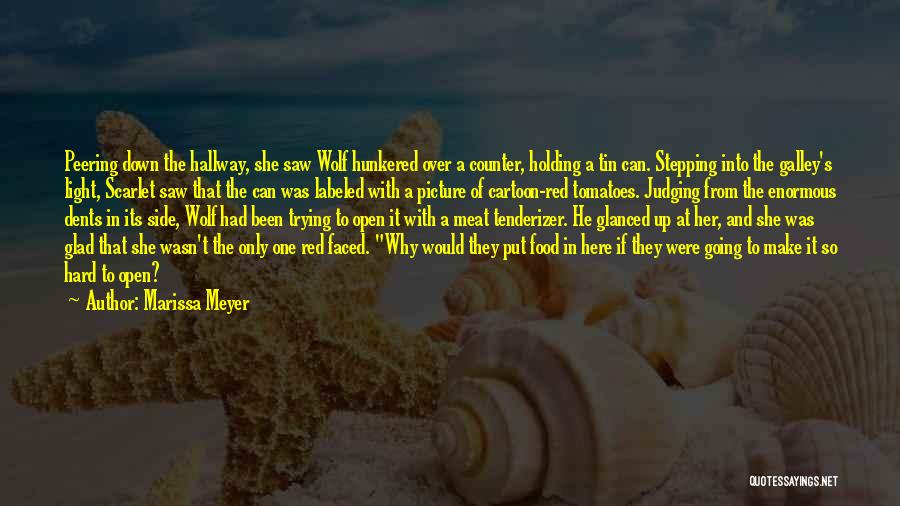 Glad Its Over Quotes By Marissa Meyer