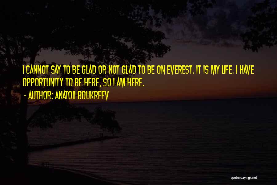 Glad To Be Here Quotes By Anatoli Boukreev