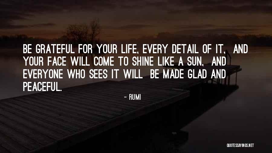 Glad To Have Someone Like You Quotes By Rumi