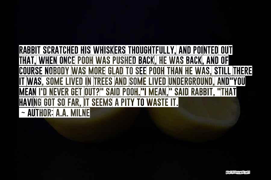 Glad To See You Back Quotes By A.A. Milne