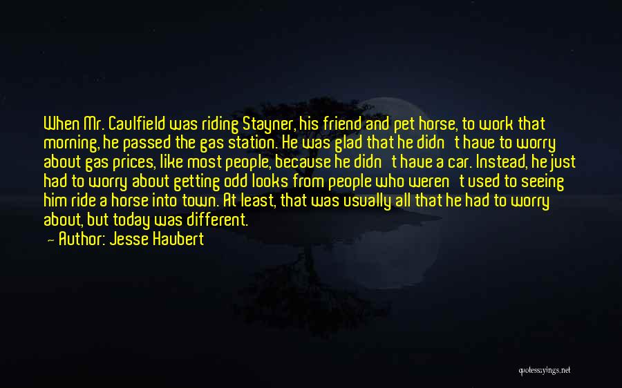 Glad You Met Someone Quotes By Jesse Haubert