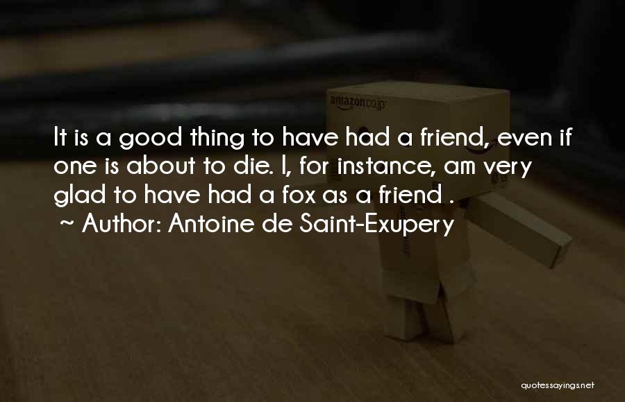 Glad You're My Friend Quotes By Antoine De Saint-Exupery