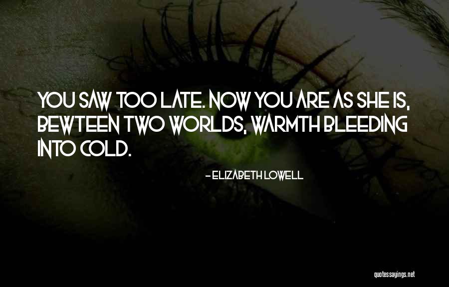 Gladly Accept Quotes By Elizabeth Lowell Gladly Accept Quotes By Elizabeth Lowell
