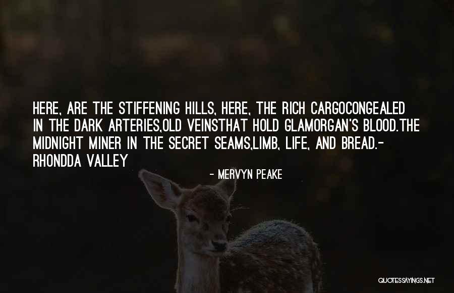 Glamorgan Quotes By Mervyn Peake Glamorgan Quotes By Mervyn Peake