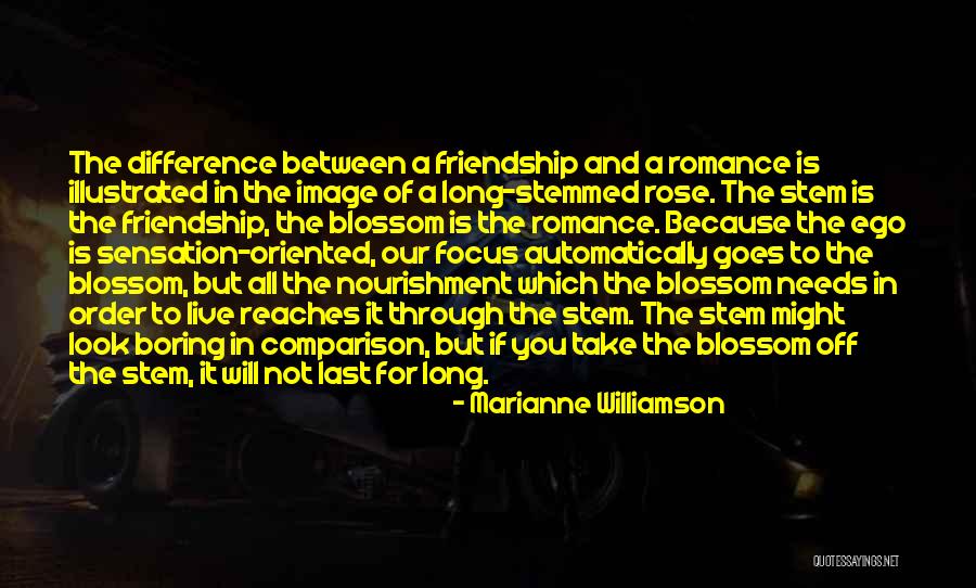 Glamour And Illusion Quotes By Marianne Williamson Glamour And Illusion Quotes By Marianne Williamson